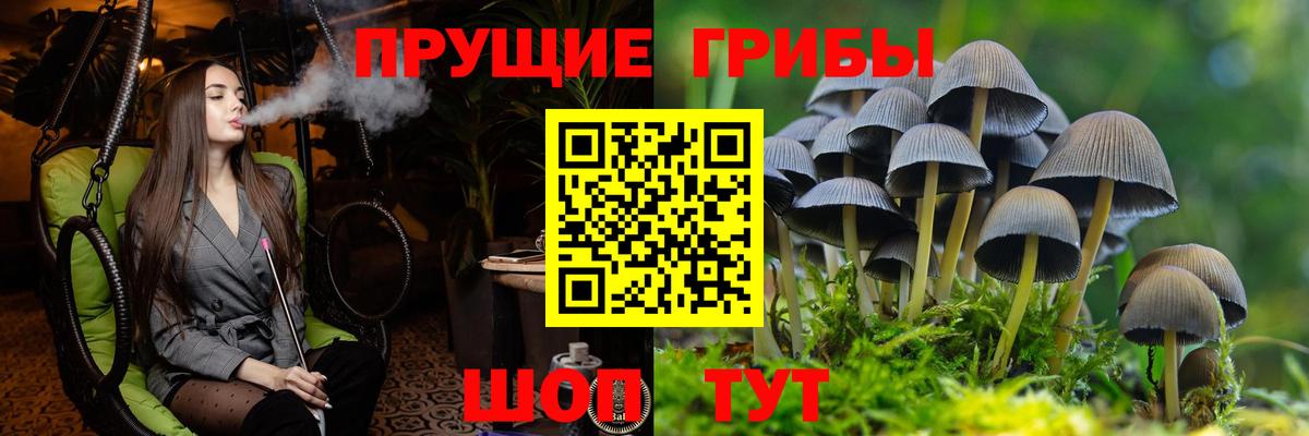 Галлюциногенные грибы GOLDEN TEACHER Камышин