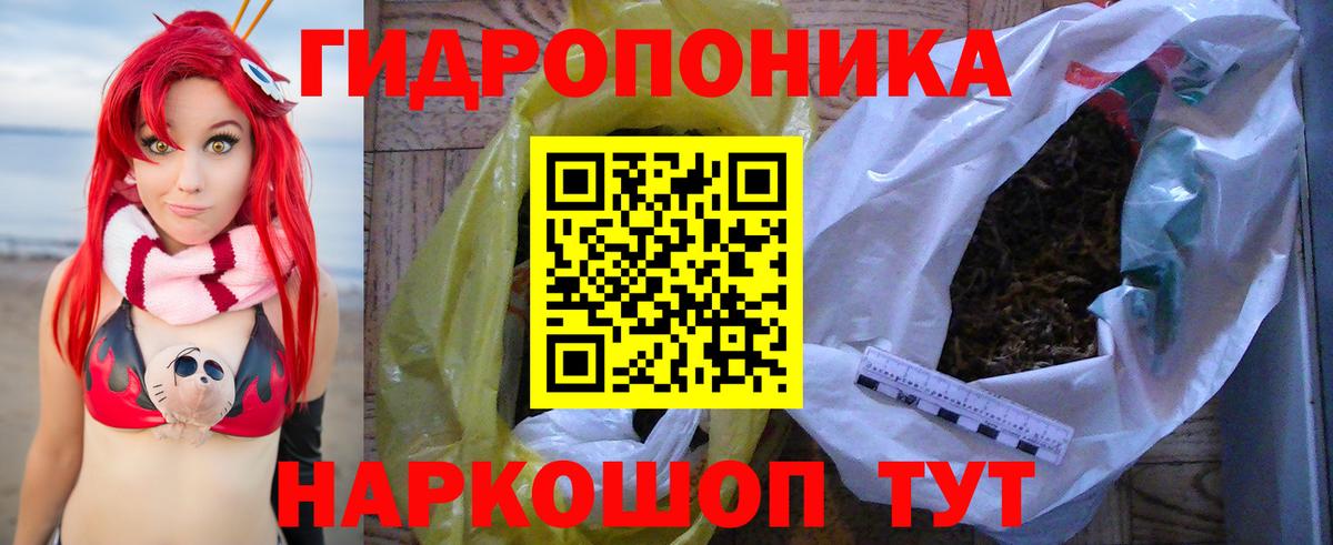 Марихуана Amnesia Камышин